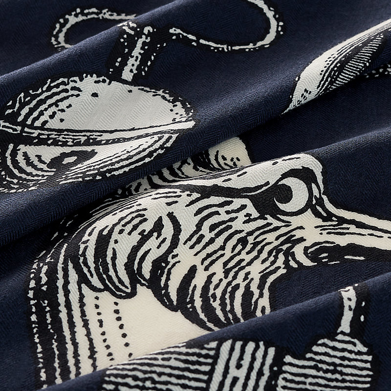 Xale 140 Inventaire Poétique pour un Conte Sellier - Azul | Hermès